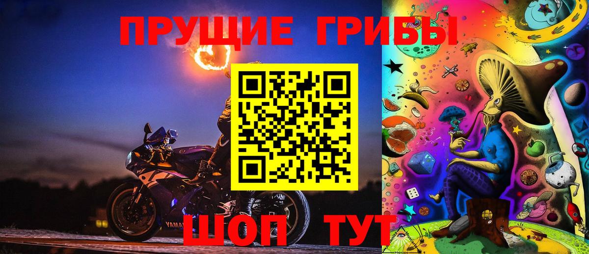 Галлюциногенные грибы мухоморы Владивосток