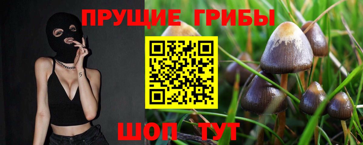 Псилоцибиновые грибы Psilocybe  закладка  Владивосток  Вход с VPN 